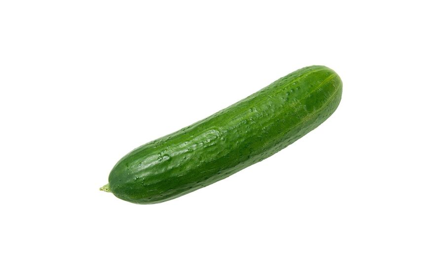 Fresh Cucumber SALADS