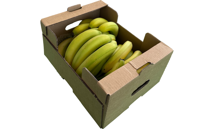 Greenish Banana Box - Box Of 30