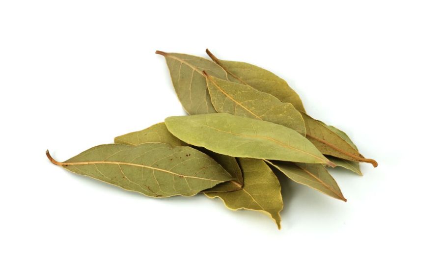 Bay Leaf   HERBS
