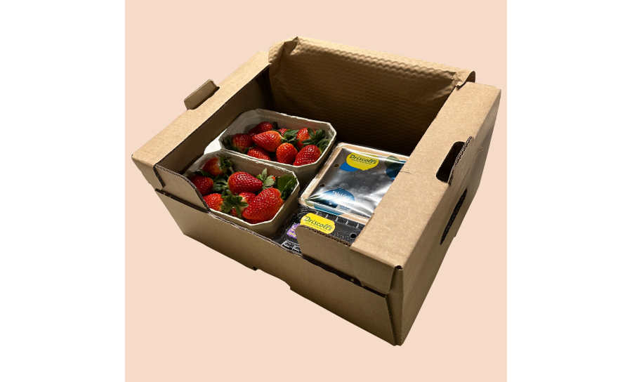 Mixed Fresh Berry Box