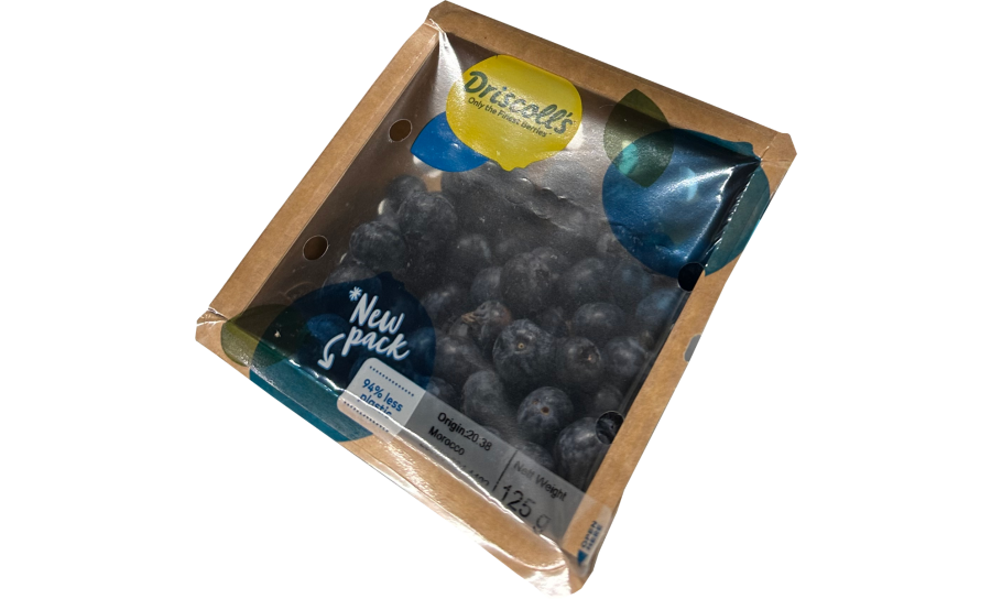 Blueberry  - 125g Punnet