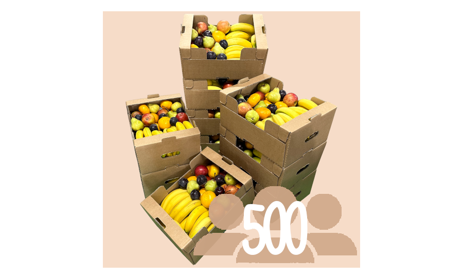 Fruit Box For 500 People