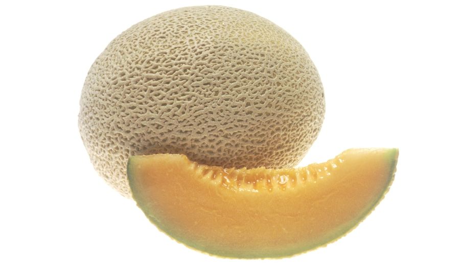 Sweet  Cantaloupe Melon 