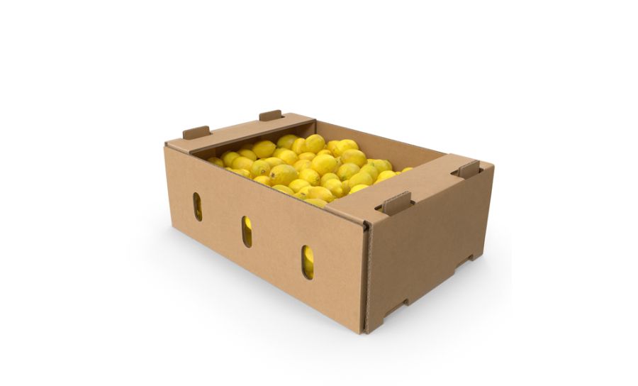 Lemon Box - 120 - 138 Per Box