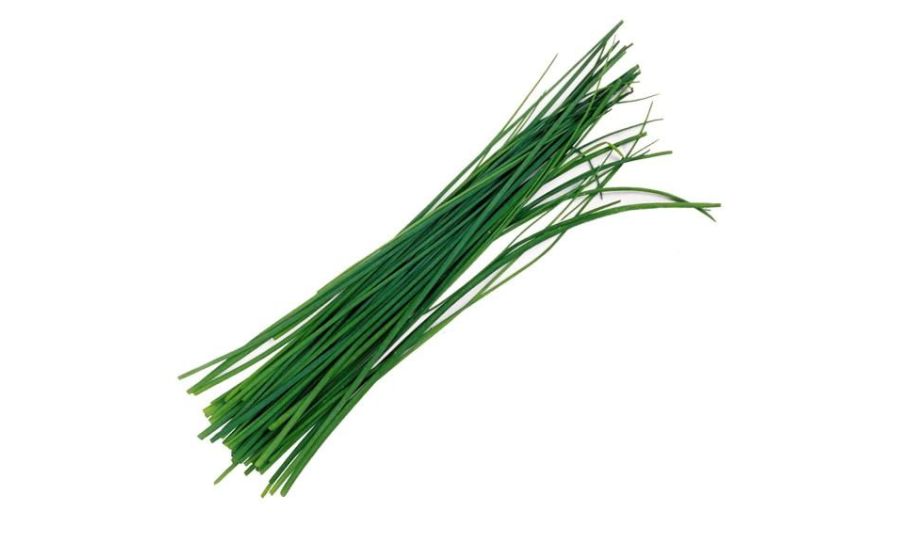 Fesh Chive  HERBS
