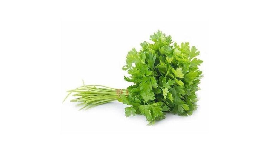Coriander - 100G