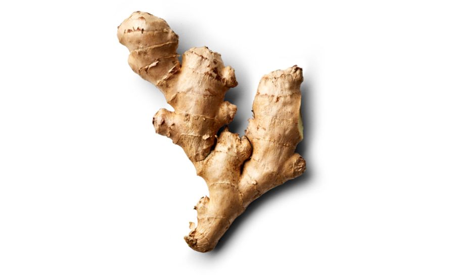 Fresh Ginger 