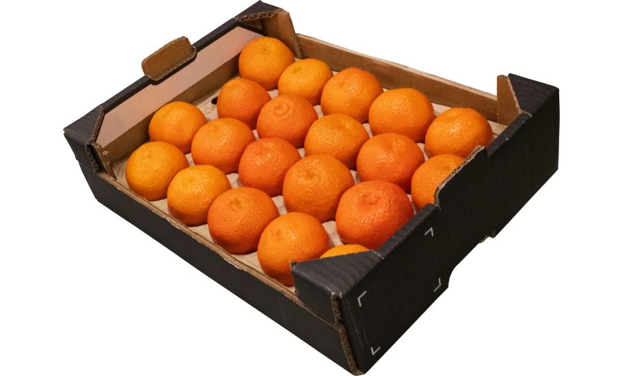 Seedless Easy Peelers - Box of 20