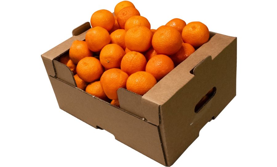 Seedless Easy Peelers - Box of 50