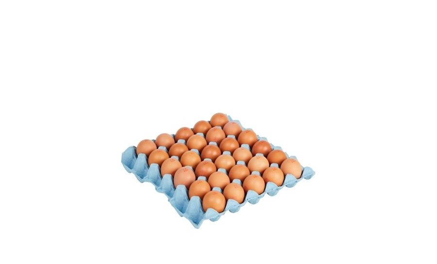 Free Range Eggs (24)