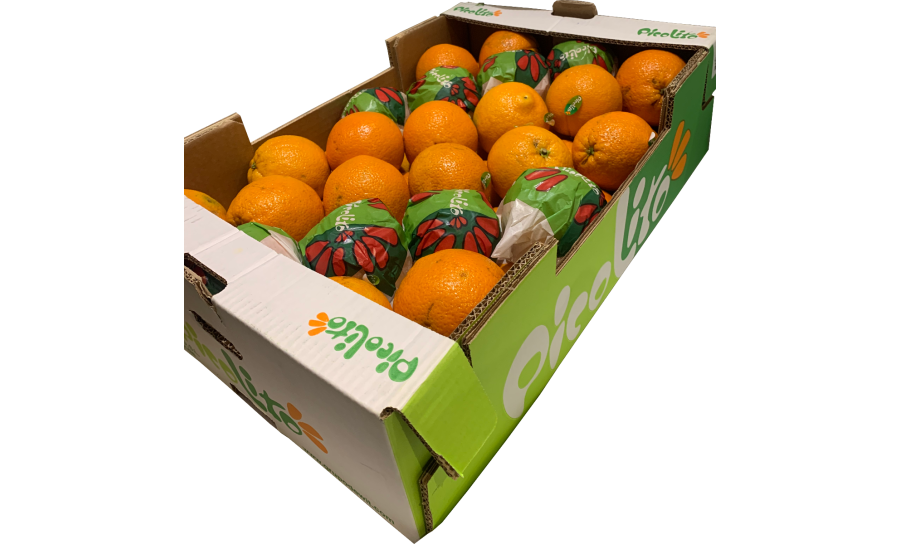 Large Orange Box 15kg (x48/56)