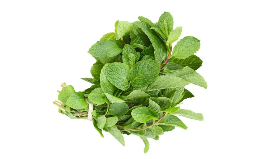 Mint