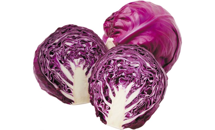 Red Cabbage Fresh Veg