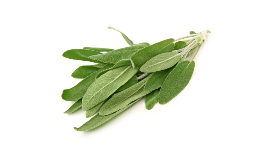 Sage - 100g