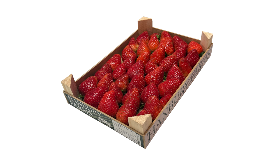 Strawberry - Punnet - 1kg