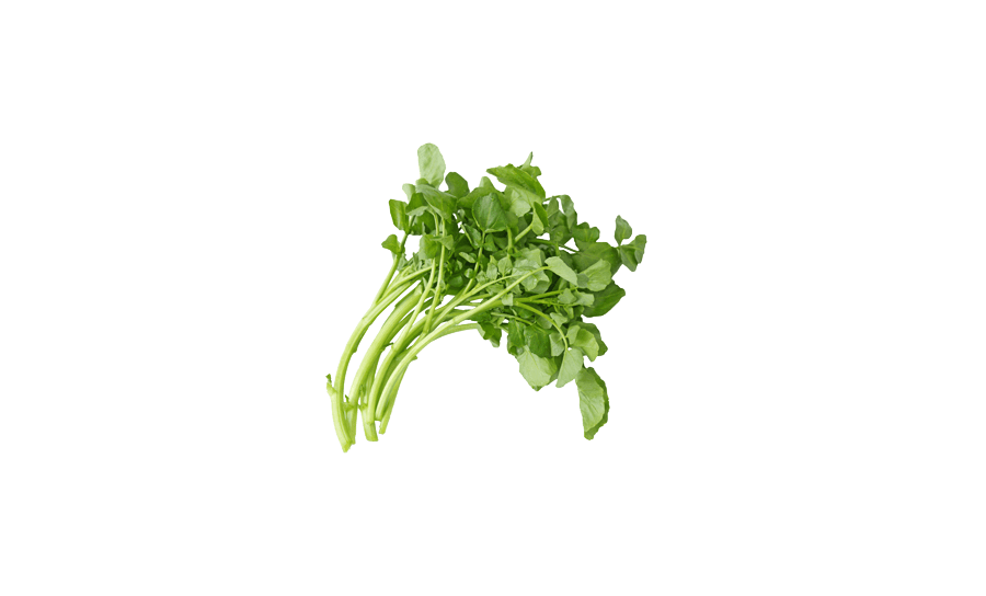 Fresh Water Cress Salad