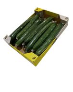Fresh Cucumber SALADS