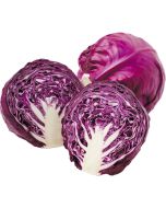 Red Cabbage Fresh Veg