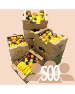 Fruit Box For 500 People