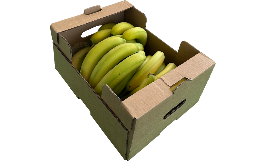 Greenish Banana Box - 30 Bananas Per Box