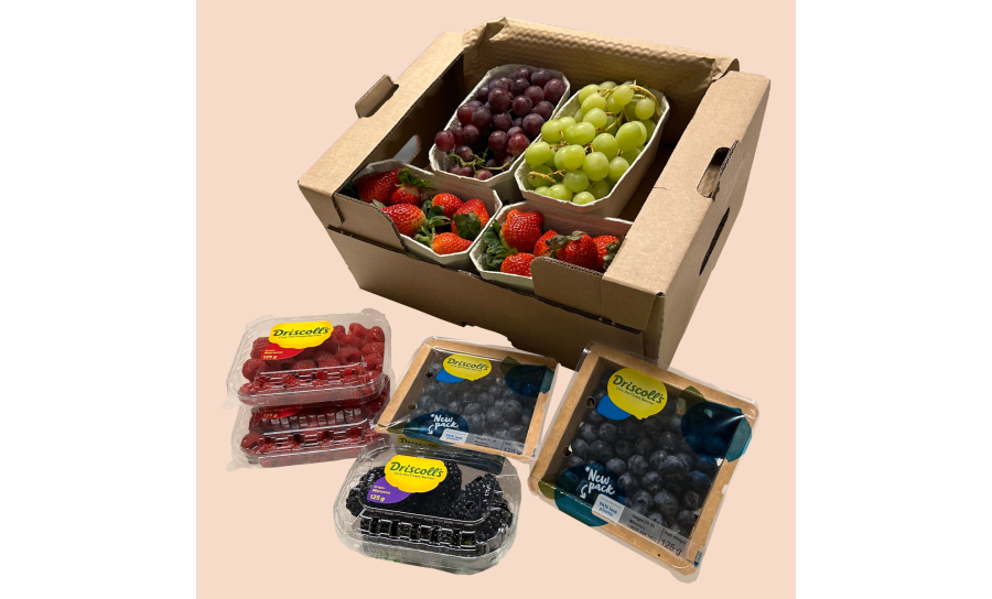 Raspberries, Blueberries, Strawberries, Blackberries, Red Grapes, and Green Grapes in display as well as the packaging.
