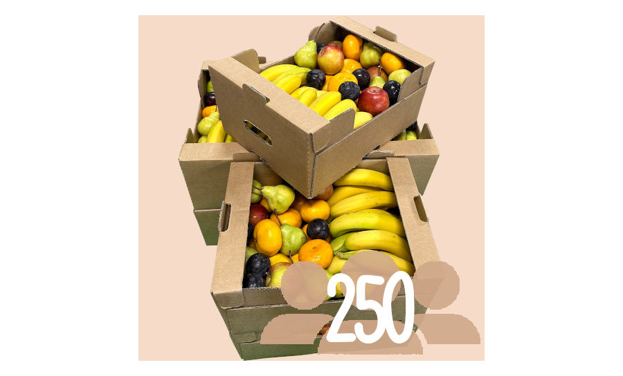 Fruit Box For 250 People