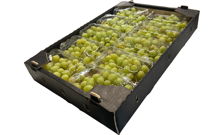 Green Grapes (Seedless) Box - 10 x 500G