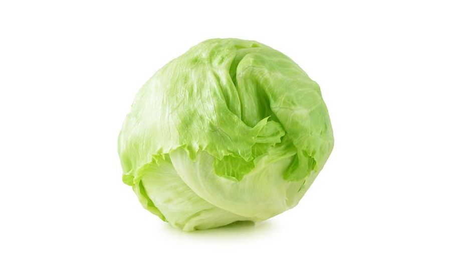 Iceberg lettuce - Each