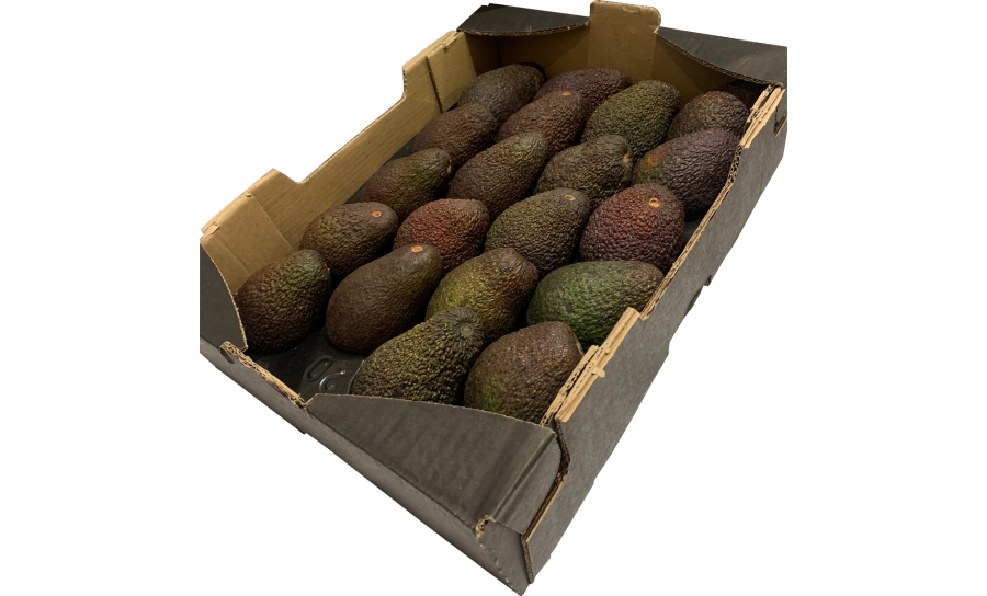 Avocado Box - 18 Per Box