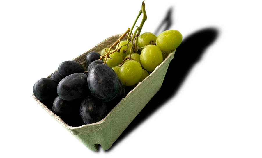 Fresh Recyclable PTK Red/Green Seedless GRAPES Fruit