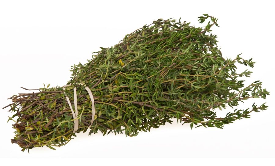 Fresh Herbs Thyme 