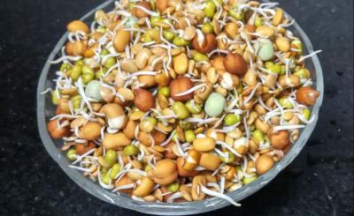 5 Great Uses For Organic Bean Sprouts