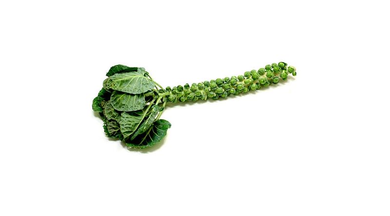 Broccoli Head  Fresh VEGETABLES