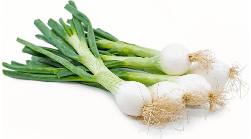 Spring Onions -  Bunch