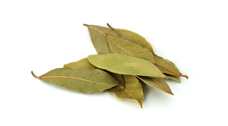 Bay Leaf   HERBS
