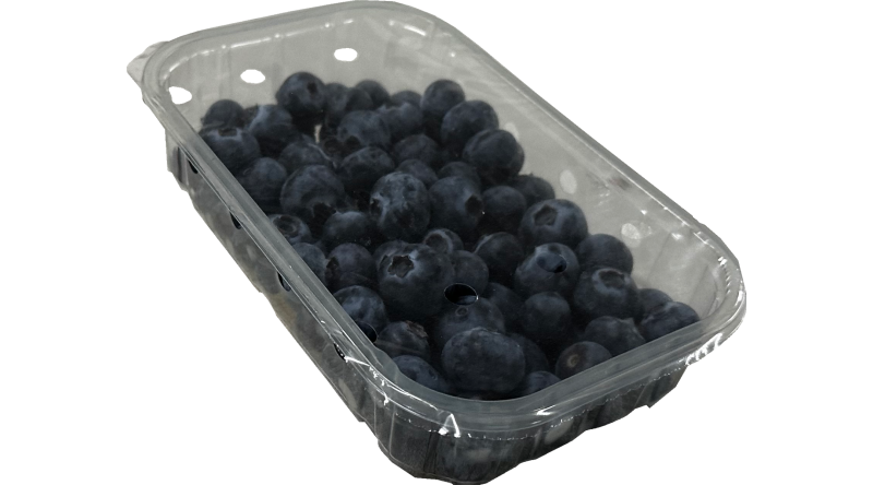 Blueberry  BERRIES