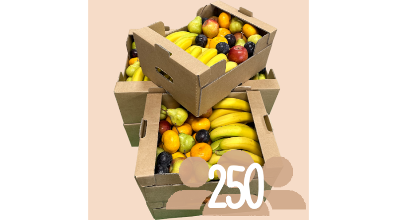 Box For 250 People