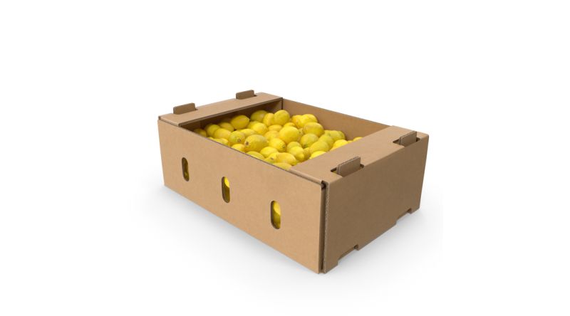 Fresh Lemon Fruit 