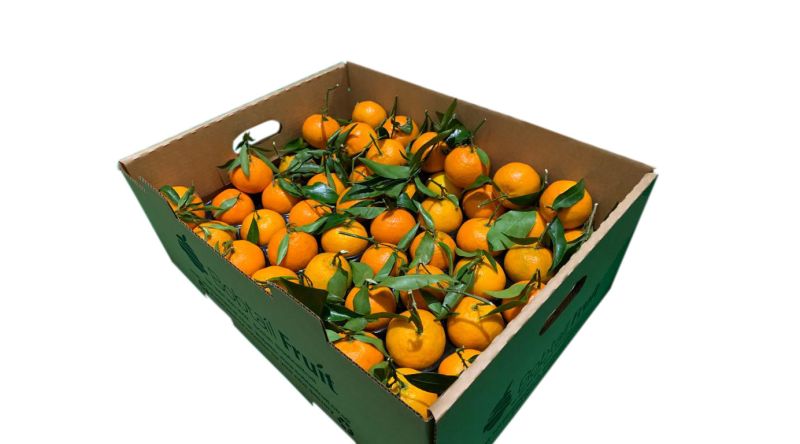 Satsuma/Clementine Box 50