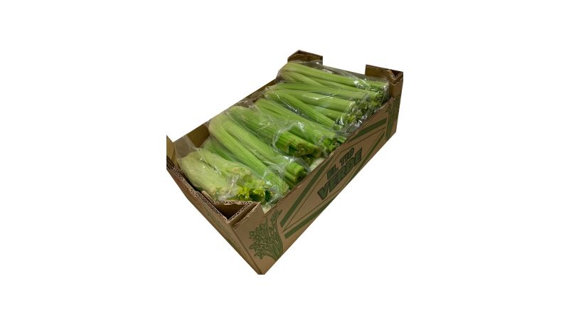 Fresh Celery SALADS