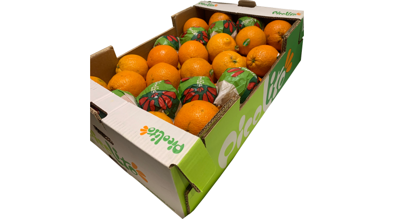 Large Orange Box - 48 Per Box