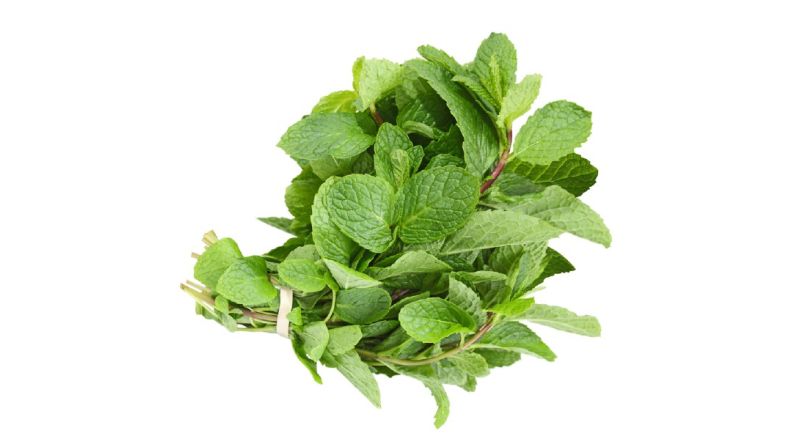 Mint