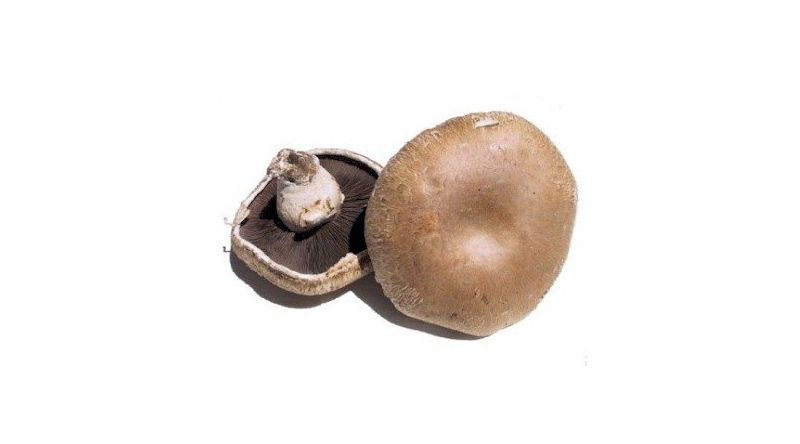 Fresh White Button Mushrooms 