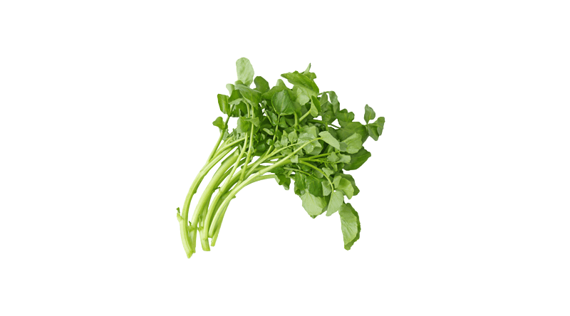 Fresh Water Cress Salad