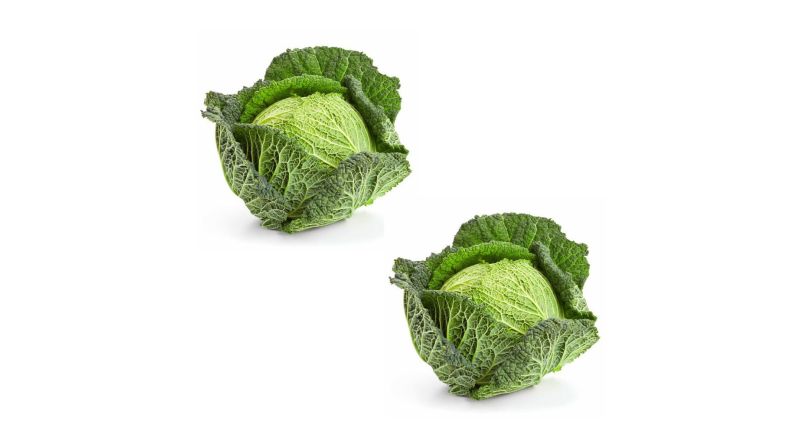 Savoy Cabbage VEGETABLES