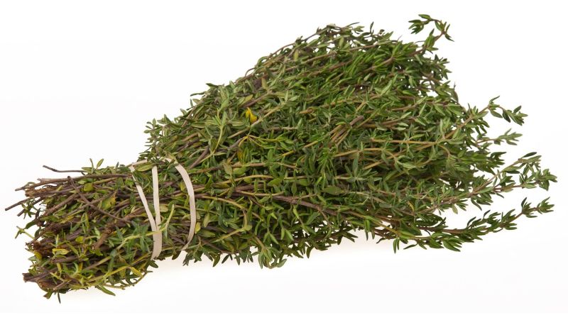Fresh Herbs Thyme 
