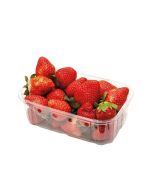 Fresh English Strawberry fruits