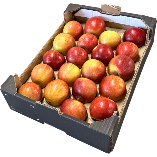 Red-Apple様 リクエスト 2点 まとめ商品 Red-Apple様 リクエスト 2点 まとめ商品 様 リクエスト 2点