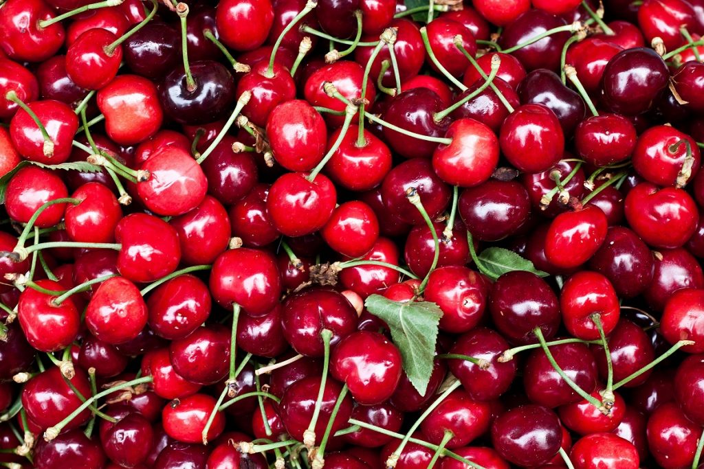 Everything To Do With Cherries | Facts About Cherries | Top 10