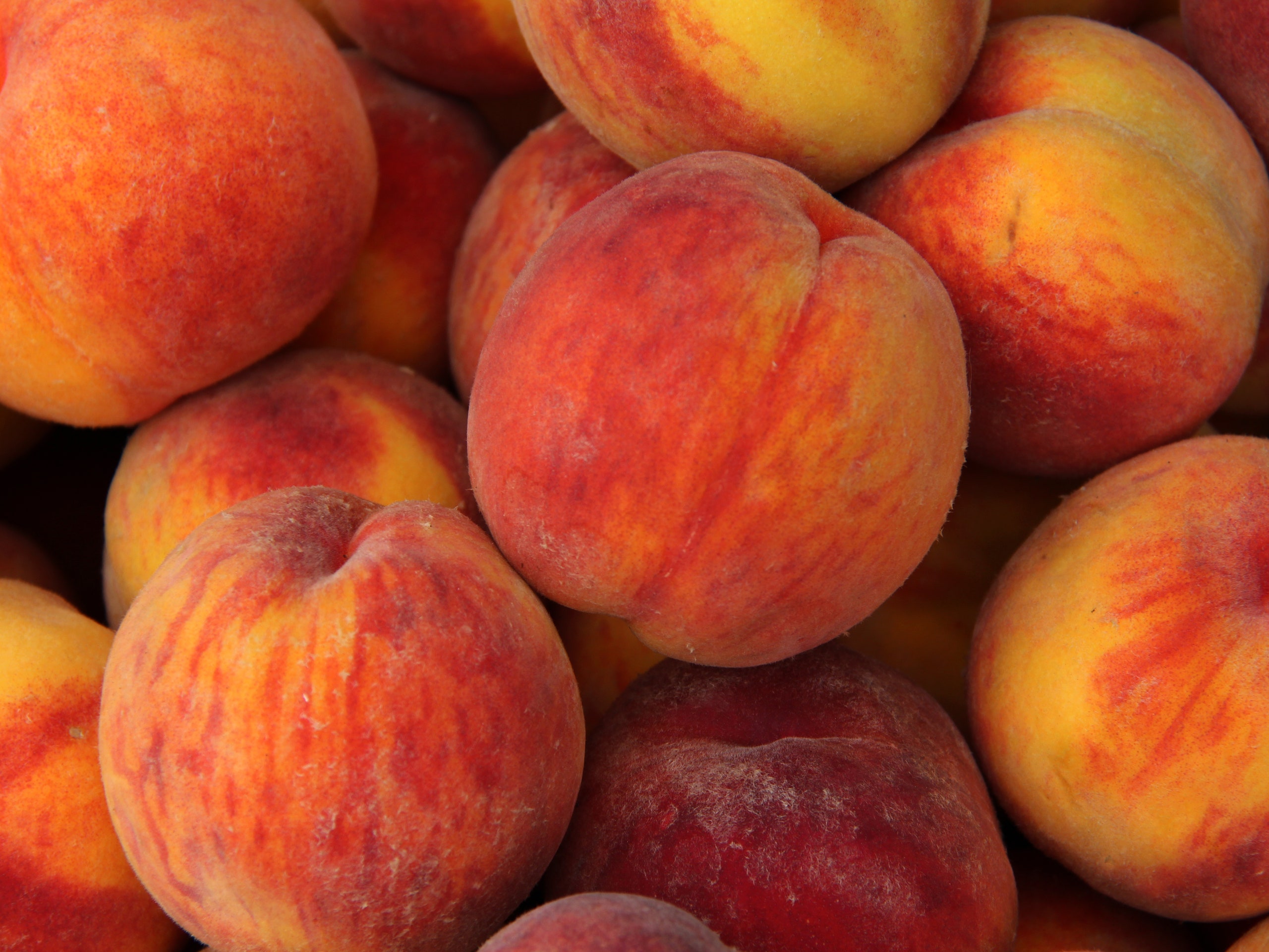 Facts About Peaches | Interesting | Summer Fruits 